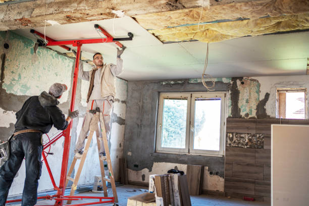 Best Insulation Contractors for Homes  in Cleveland, GA