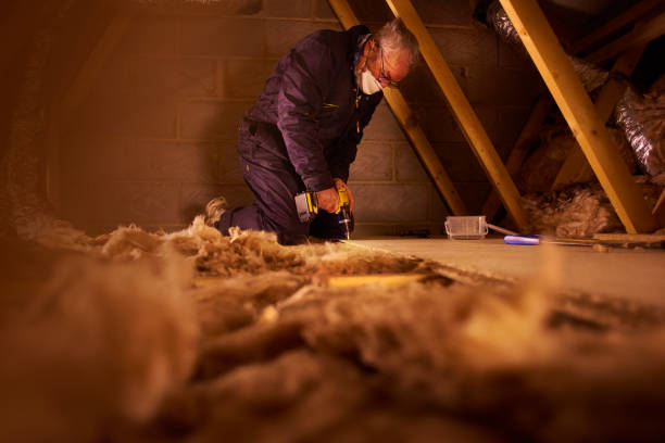 Best Insulation Repair Services  in Cleveland, GA